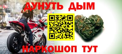 прущие грибы Нальчик