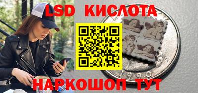 прущие грибы Нальчик