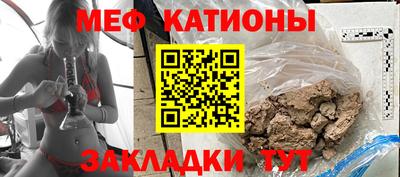 прущие грибы Нальчик