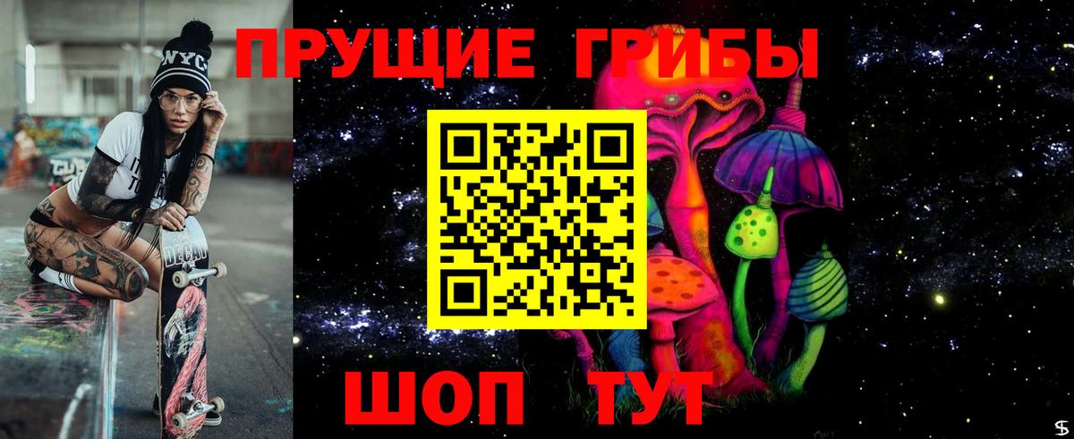 Псилоцибиновые грибы Cubensis Самара